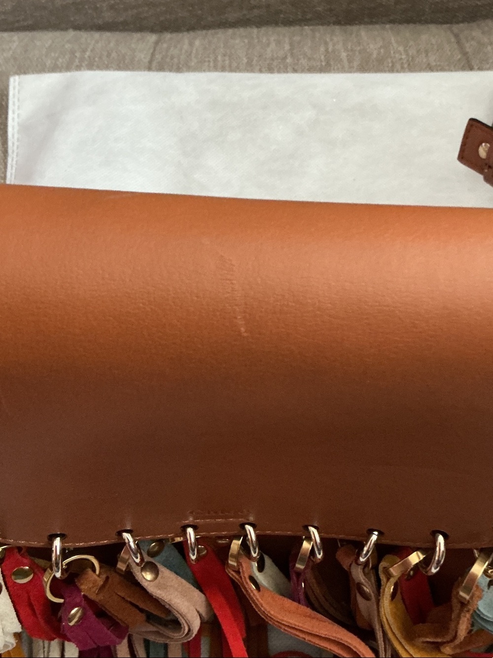 Chloe Tan Leather Crossbody Bag with Multicolor Suede Fringe - Picture 9 of 9
